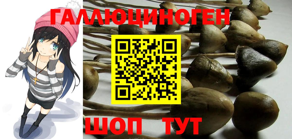 Железноводск  Псилоцибиновые грибы MAGIC MUSHROOMS  Вход с VPN  Псилоцибиновые грибы прущие грибы 